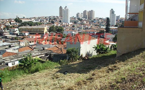 Imagem 2 de 8 de Terreno Em Tucuruvi - São Paulo, Sp - 85961