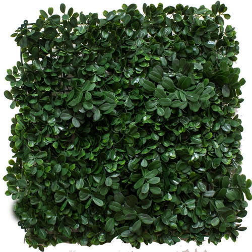 Follaje Artificial Sintetico Boxus Muro Barda 50x50cm 10 Pzs