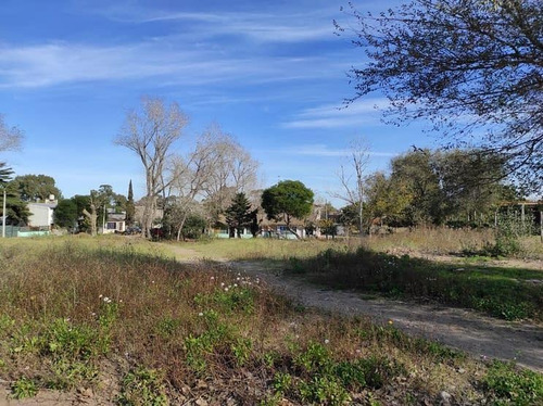 Imagen 9 de 14 de Retasados | Lotes De 400 M2 / 600 M2 En Zona Multifamiliar | En Venta | Villa Gesell