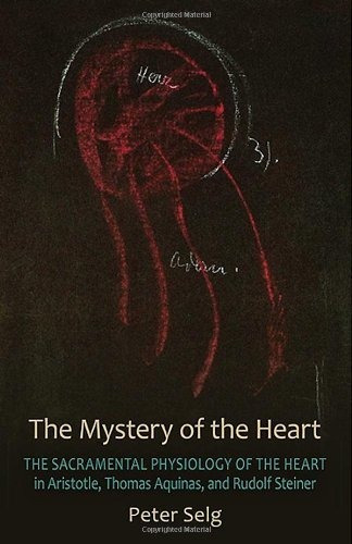 The Mystery Of The Heart : Studies On The Sacramental Physiology Of The Heart.  Aristotle | Thoma..., De Peter SeLG. Editorial Anthroposophic Press Inc, Tapa Blanda En Inglés