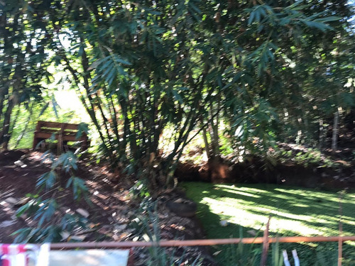 Imagem 5 de 10 de Chácara À Venda, 5000 M² Por R$ 750.000,00 - Jardim São Roque Iii - Foz Do Iguaçu/pr - Ch0007