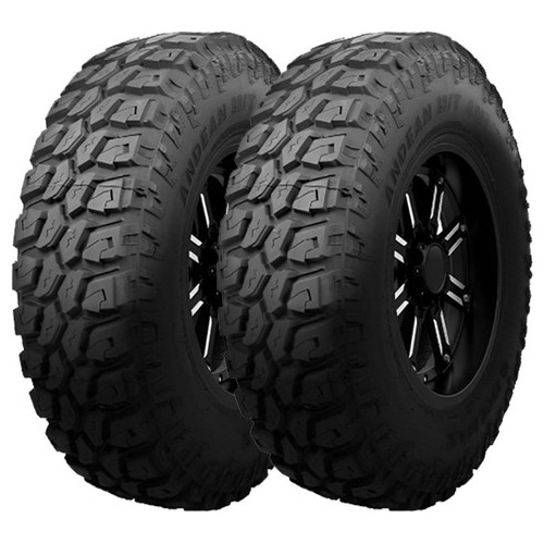 Set 2 Neumatico 245/75r16 120/116q Andean M/t Am1 Delmax Mt 