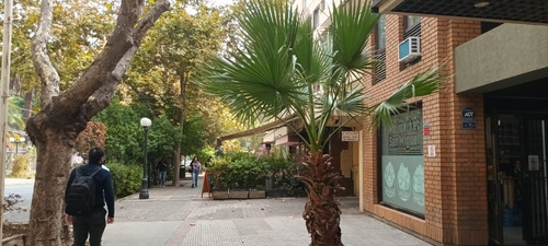 Padre Mariano Providencia, Lado Estacion Metro