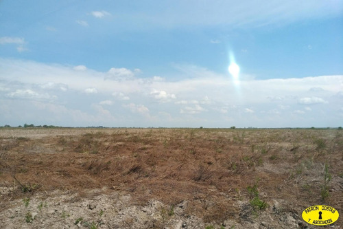 Imagen 6 de 14 de 2404ga- Excelente Campo Mixto, Riego Permanente Para 250 Ha