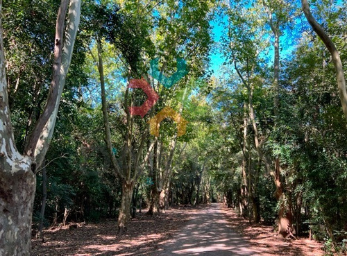 Imagen 9 de 25 de Venta / Oportunidad Imponente Chacra En Estancia San Pablo S. Miguel Del Monte