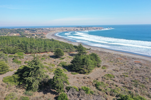 Desarrollo Inmobiliario Frente Al Mar En Punta De Lobos