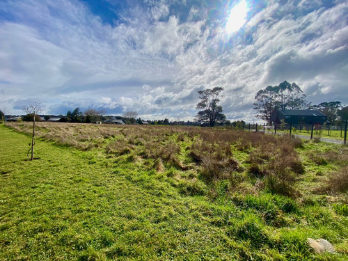 Espectacular Parcela De 5.000 M2 En Reserva Santa Clara!
