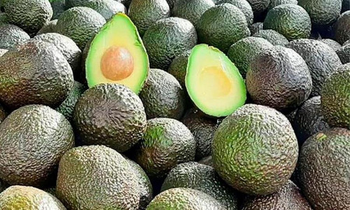 Palta, Aguacate Cremosa - Hass - Fuerte - 100% Orgánico