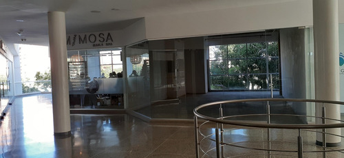 Imagen 7 de 7 de Terraza 77 En Alquiler Local Maracaibo