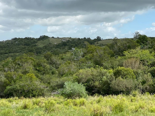 Imagen 25 de 30 de 7 Chacras De 5 Has Cada Una A 20 Km De Aigua Por Ruta 39 - Consulte !!!!!