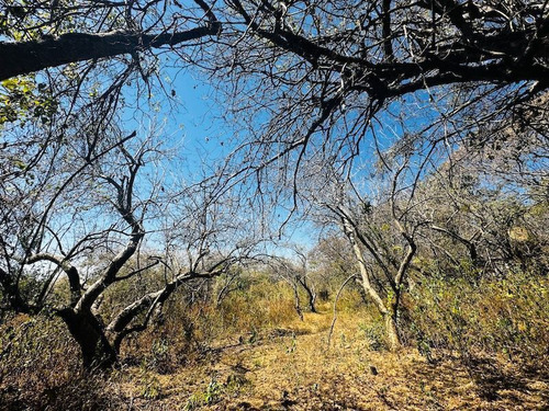Venta Terreno Comunal Tepoztlan Morelos