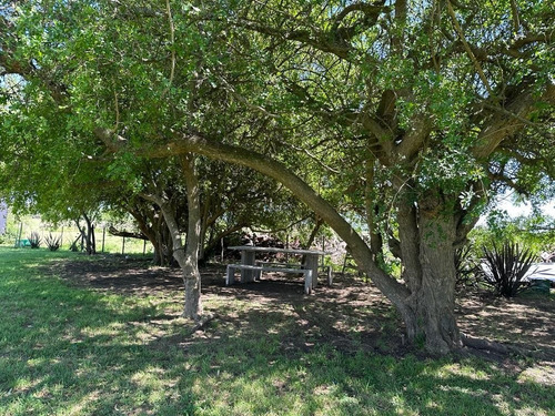 Imagen 4 de 17 de Casa Quinta Con Pileta En Chascomus