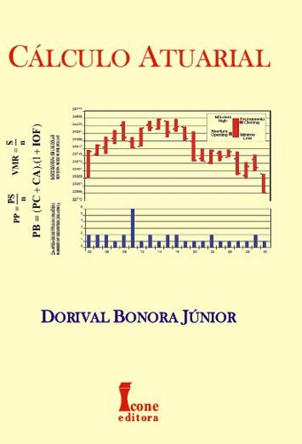 Cálculo atuarial, de Bonora Júnior, Dorival. Editora Meta Impressão e Soluções Digitais Ltda., capa mole em português, 2019