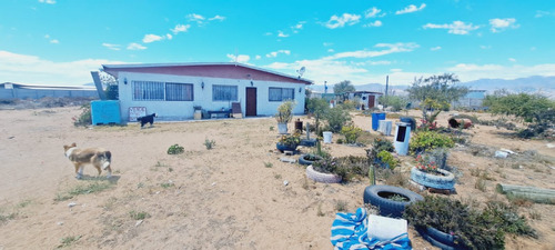 En Venta Terreno Con 2 Amplias Casas. Guanaqueros.