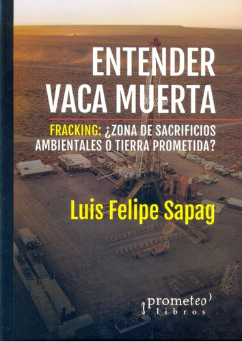 Entender Vaca Muerta - Luis Felipe Sapag