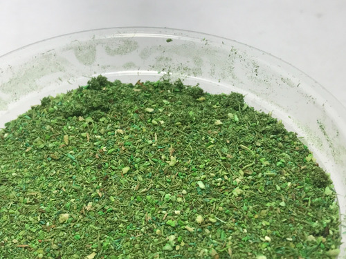 Nico Pote D Pasto Verde Palido Para Maquetas Madera (pmf 63)