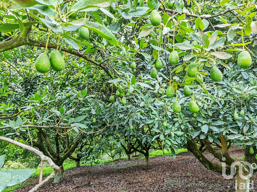 Venta Rancho 0 Ambiente Cochisquila