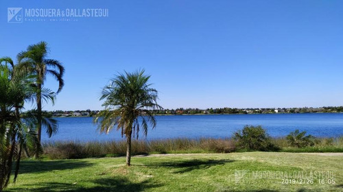 Imagen 6 de 19 de Con Renta - Excelente Departamento En Vila Vela