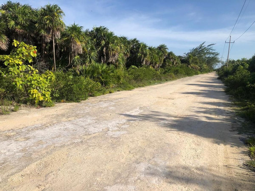 Terreno Frente La Playa 450 M2