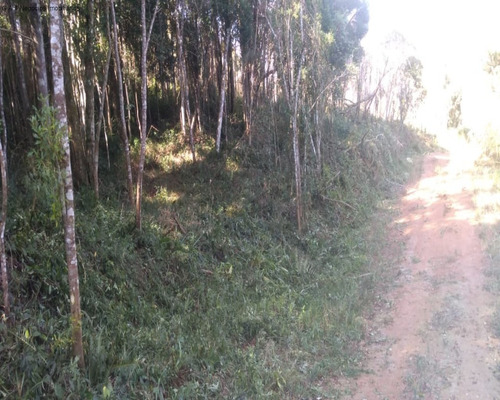 Imagem 4 de 11 de Terreno Em Condomínio À Venda No Águas De Sarapuí - Funil - Sorocaba/sp - Tc03590 - 69842246