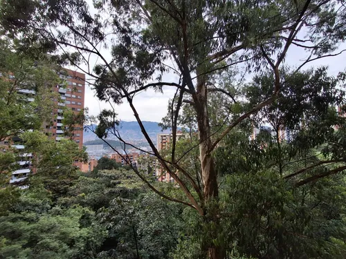 Apartamento En Venta Poblado Via Las Palmas