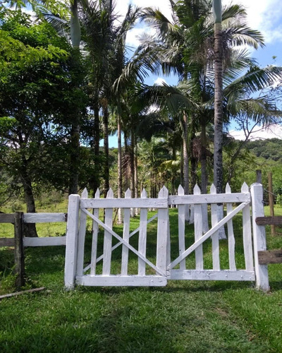 Imagem 9 de 30 de Sítio - 0194 - 32820423