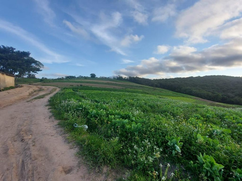 Imagem 30 de 30 de 20o Vende-se Terreno Por Apenas 35mil E 10mil De Entrada