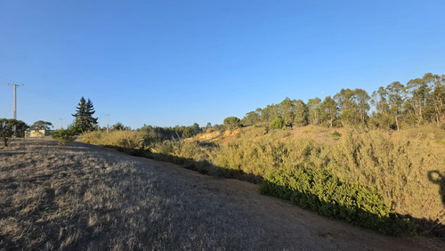 Parcelas Planas En Algarrobo Norte En Condominio Consolidado
