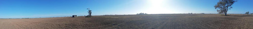 Campo En Serodino