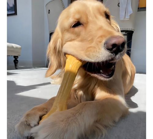 Osso Mordedor Para Cachorro Pet Qwerks Zombie Sabor Cheddar