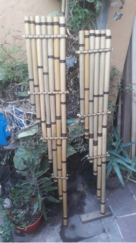 Imagen 3 de 10 de Sikus Toyo