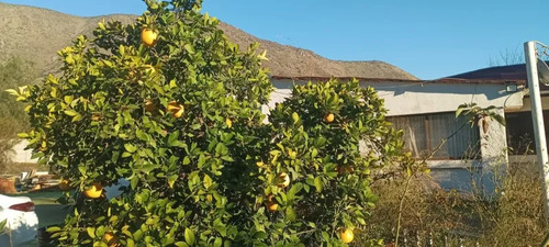 Parcela En Venta | 5.000 M² | 3 Piscinas | Amplios Espacios