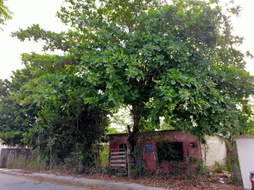 Imagen 12 de 12 de Terreno En Venta El Tejar
