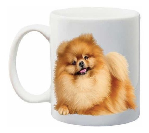 Taza Café