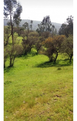 Se Vende Parcela Limache Los Laureles