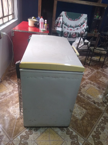 Congeladora Friolux / F-318 L