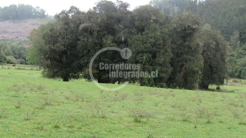 Parcela Con Rol Propio, Luz, Agua Potable Y Acceso Al Rio