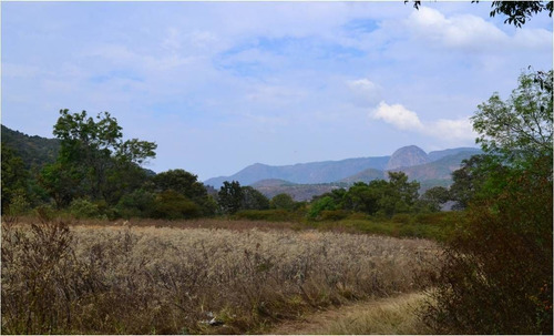 Terreno En Venta En Temascaltepec.