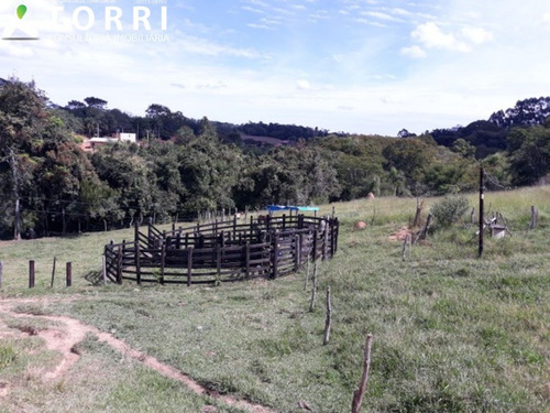 Imagem 4 de 6 de Sítio À Venda Em Capão Bonito - St00156 - 69492046