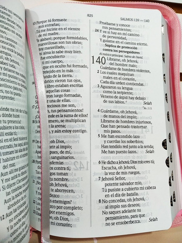 Biblia Rvr1960 Let Grande Imit Piel Rosa Claro Cierre/índice