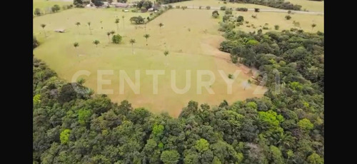 Venta Finca Ganadera