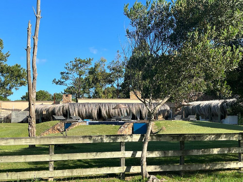 Fantástico Lote En Chacras De La Laguna Negra - Punta Del Diablo