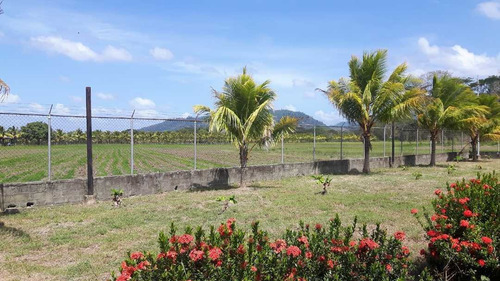 Imagen 8 de 13 de Finca Los Malavares Yaracuy