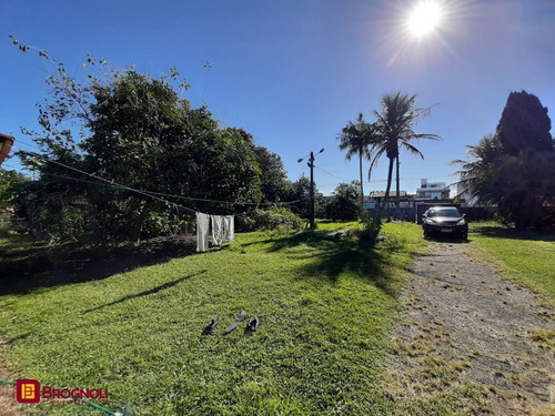 Imagem 12 de 15 de Terreno Comercial/residencial - Jardim Cidade De Florianopolis - Ref: 38521 - V-t19-38521
