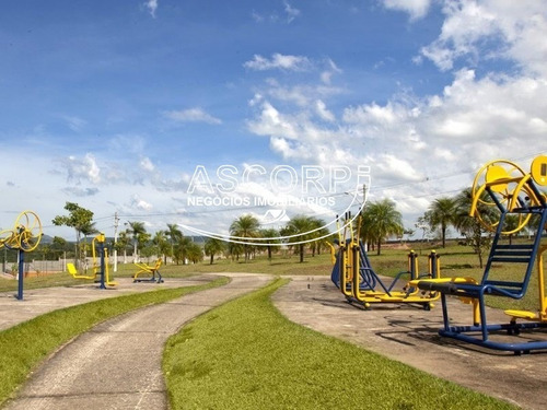 Imagem 11 de 16 de Excelente Terreno Plano No Terra De Ártemis.(código Te00449) - Te00449 - 71102727