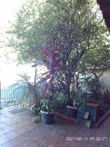 Casa À Venda Na Rua Doutor Ferreira Da Luz, Jardim São José (zona Norte), São Paulo - Sp - Liv-12273