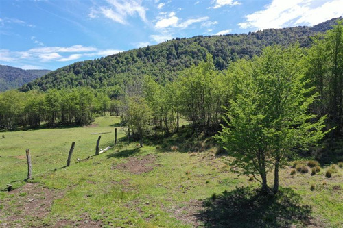 Terreno 5.000 M2 A Pocos Metros Pueblo Malalcahuello