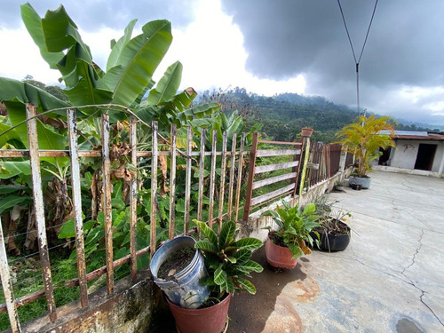 Excelente Finca En Chiguara Mérida