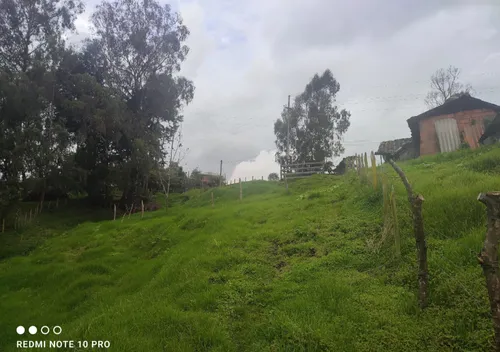Lotes De 1.600 Metros Cuadrados