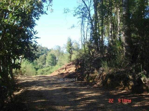 Imagen 3 de 21 de Camino Nonguen S / N , Sector Reserva De Nonguen Concepc...